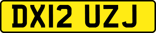 DX12UZJ