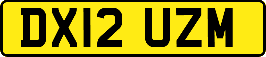 DX12UZM