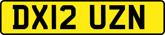 DX12UZN