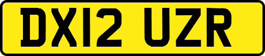 DX12UZR