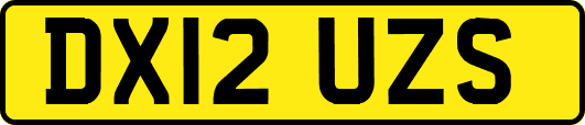 DX12UZS