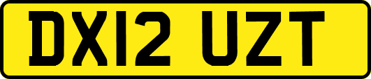 DX12UZT