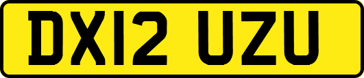 DX12UZU