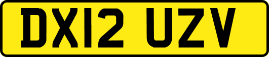 DX12UZV