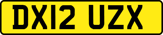 DX12UZX