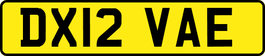 DX12VAE