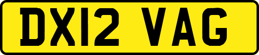 DX12VAG
