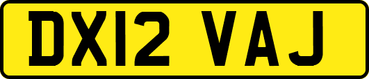 DX12VAJ