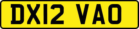 DX12VAO