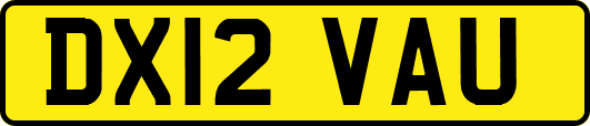 DX12VAU