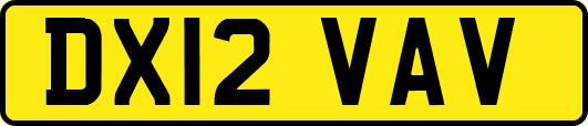 DX12VAV