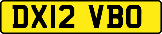 DX12VBO