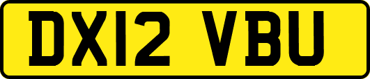 DX12VBU