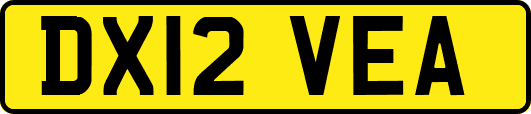 DX12VEA