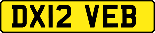 DX12VEB
