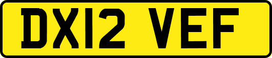 DX12VEF