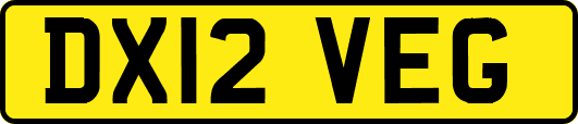 DX12VEG