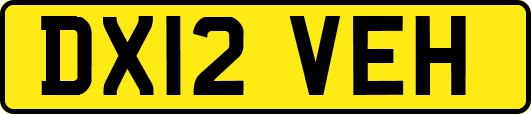 DX12VEH