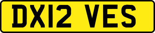 DX12VES