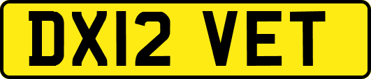 DX12VET