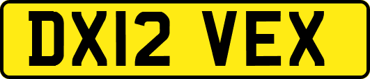 DX12VEX
