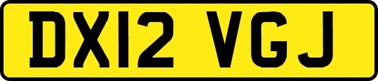DX12VGJ