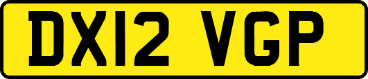 DX12VGP