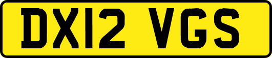 DX12VGS