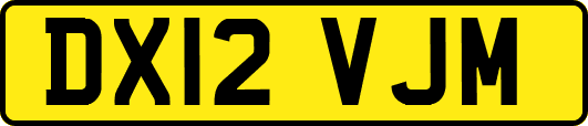 DX12VJM