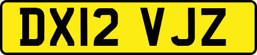 DX12VJZ