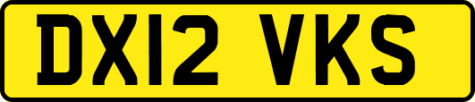 DX12VKS