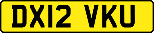 DX12VKU
