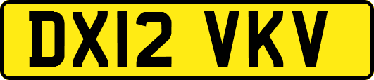 DX12VKV