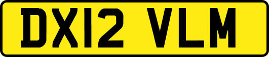 DX12VLM