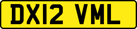 DX12VML