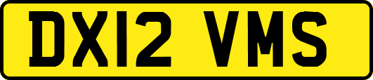 DX12VMS
