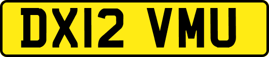 DX12VMU