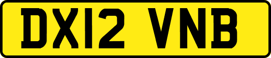 DX12VNB