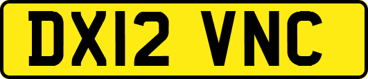 DX12VNC