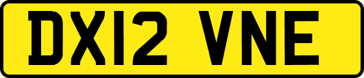 DX12VNE