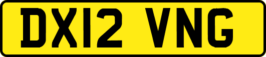 DX12VNG