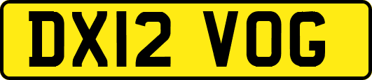 DX12VOG