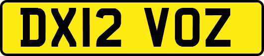 DX12VOZ