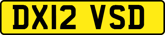 DX12VSD