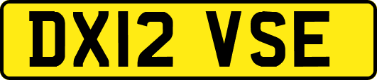 DX12VSE