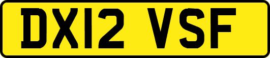 DX12VSF