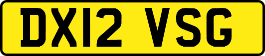 DX12VSG