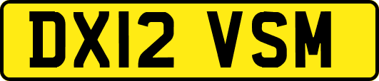 DX12VSM