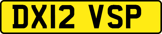 DX12VSP