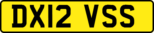 DX12VSS